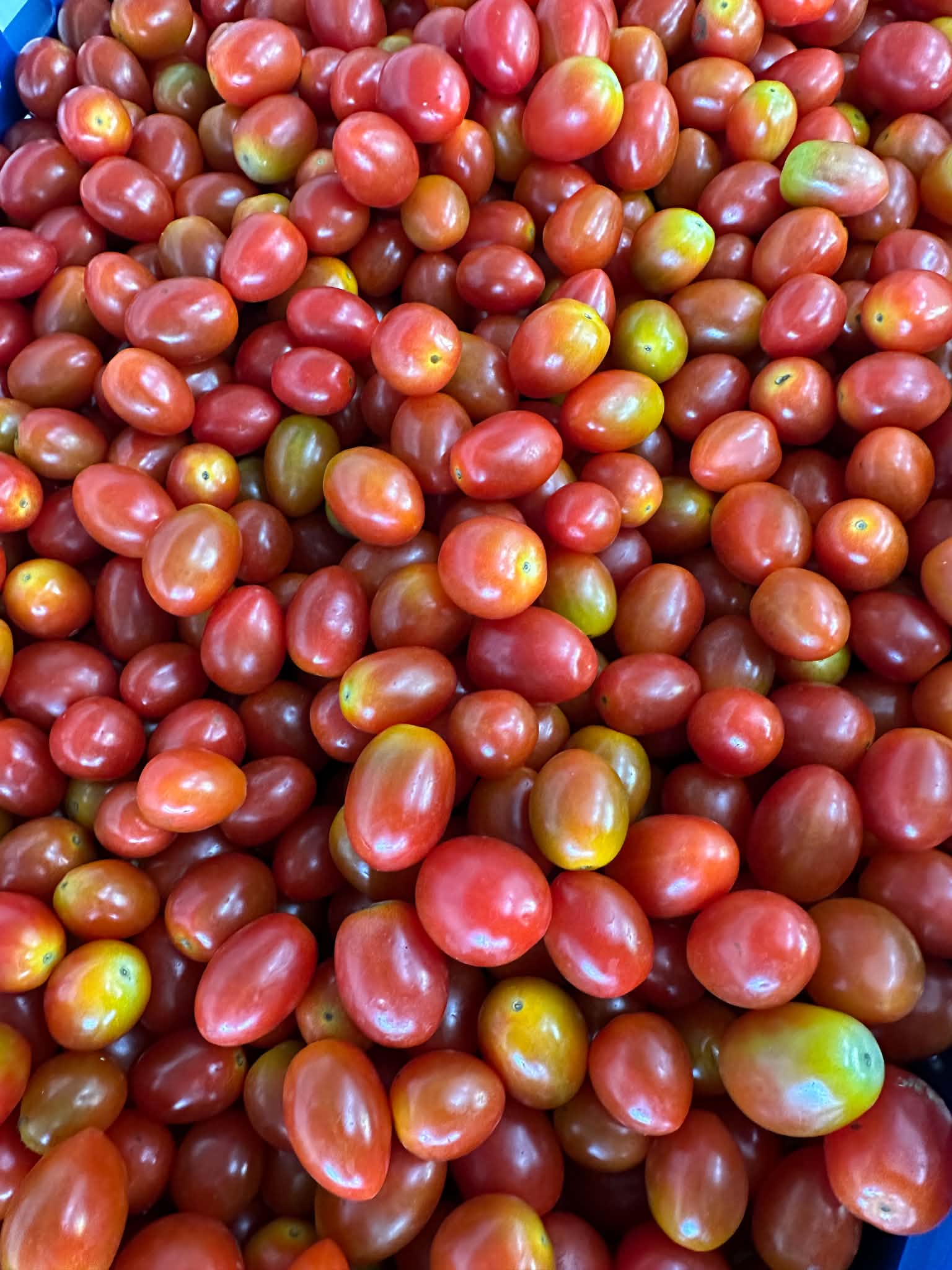 Red Cherry Tomatoes
