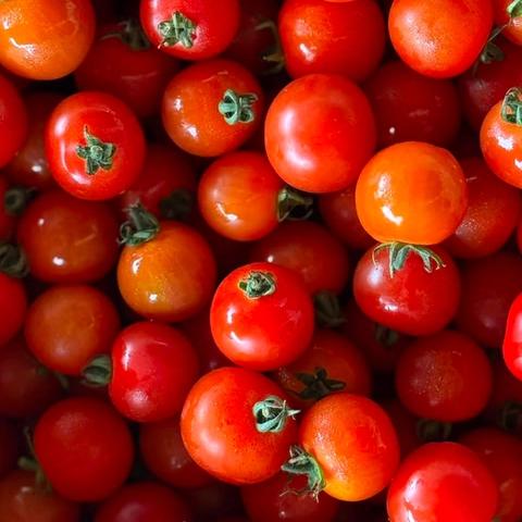 Wild Cherry Tomatoes