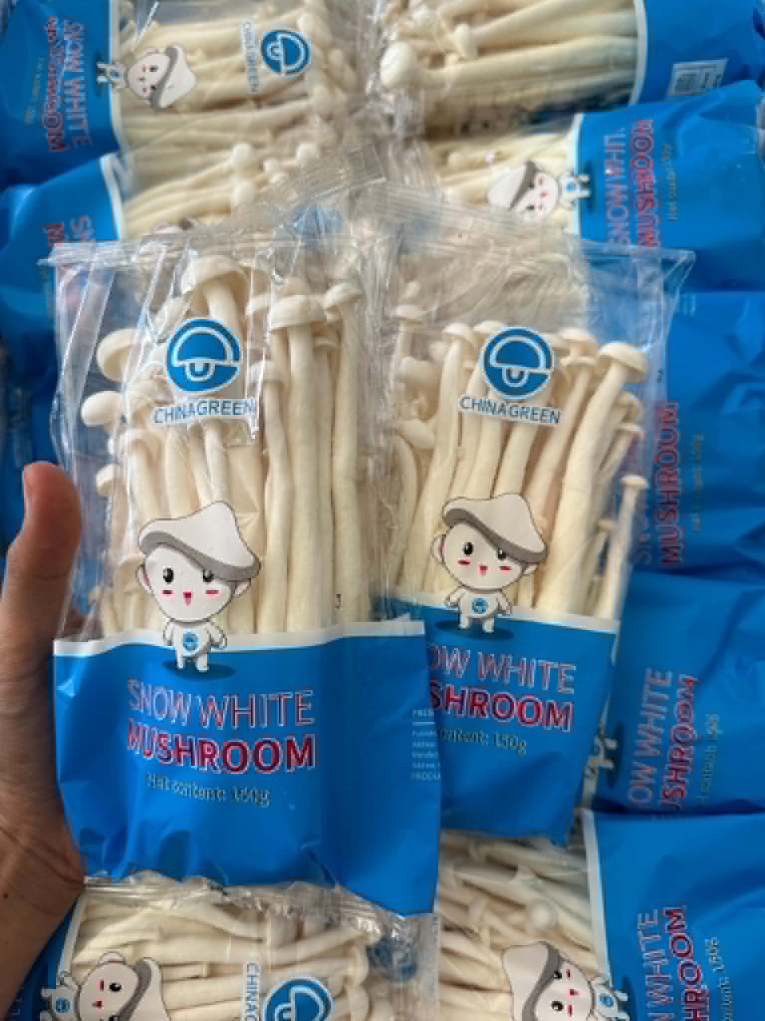 Snow White Mushroom