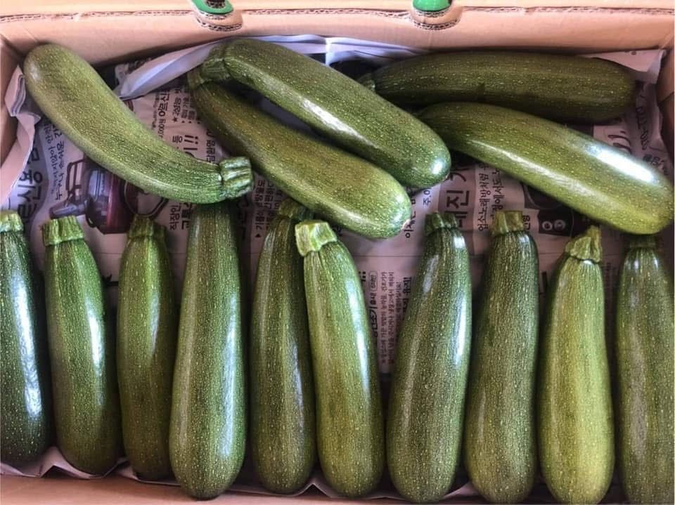 Zucchini