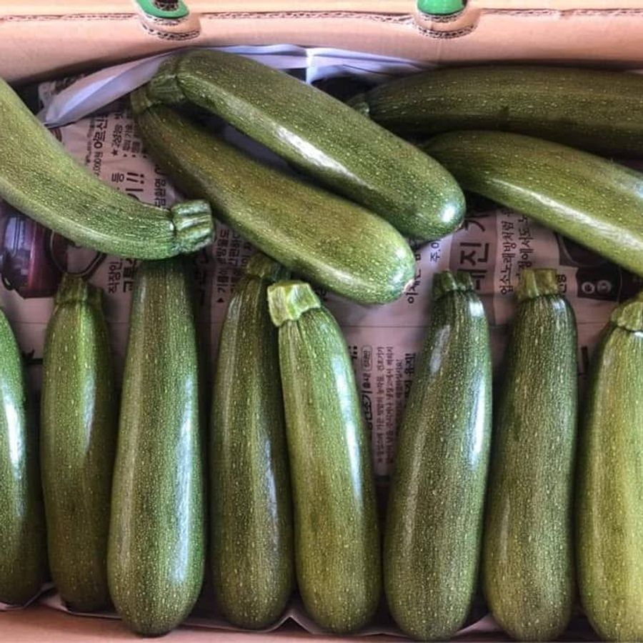 Zucchini