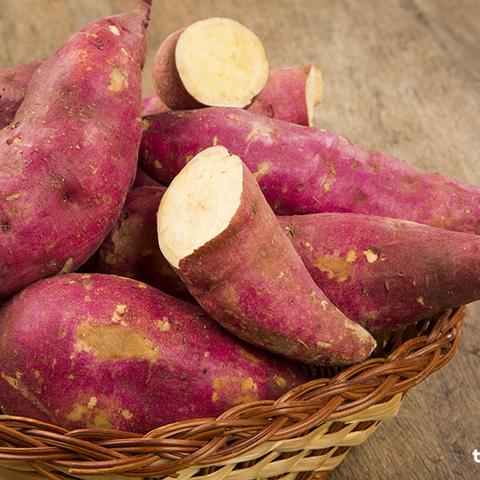 Japanese Sweet Potato