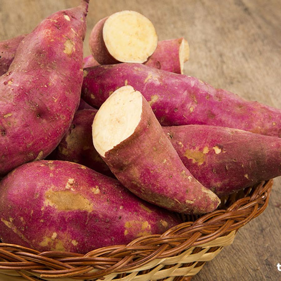 Japanese Sweet Potato