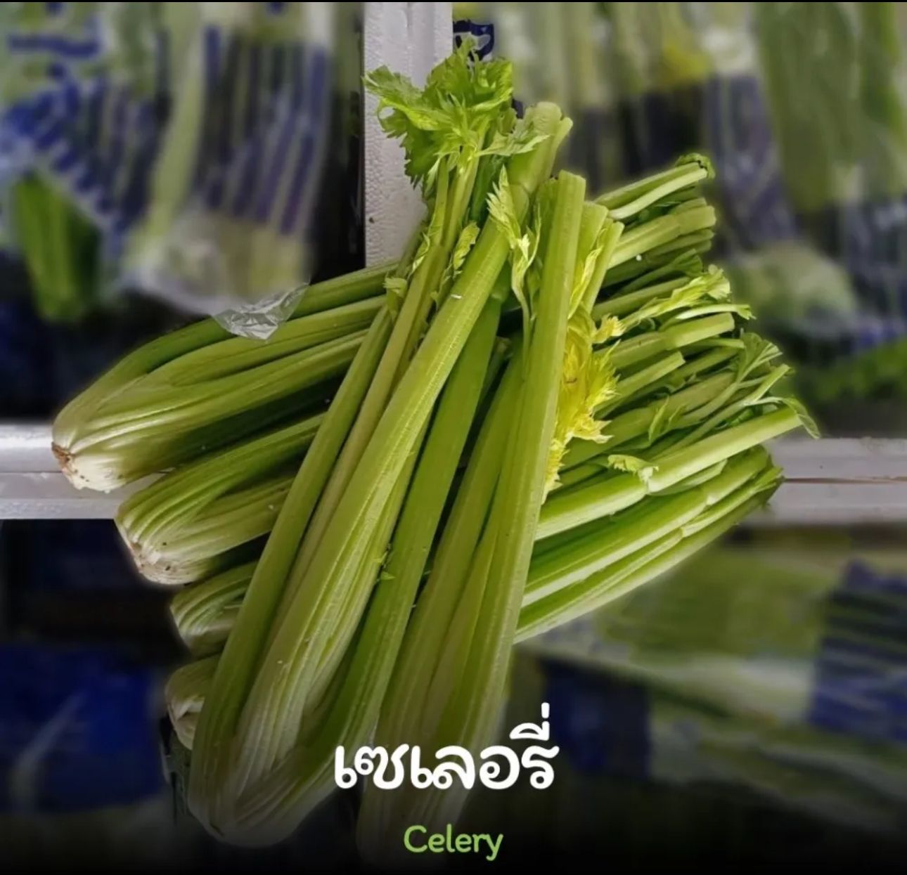 Celery