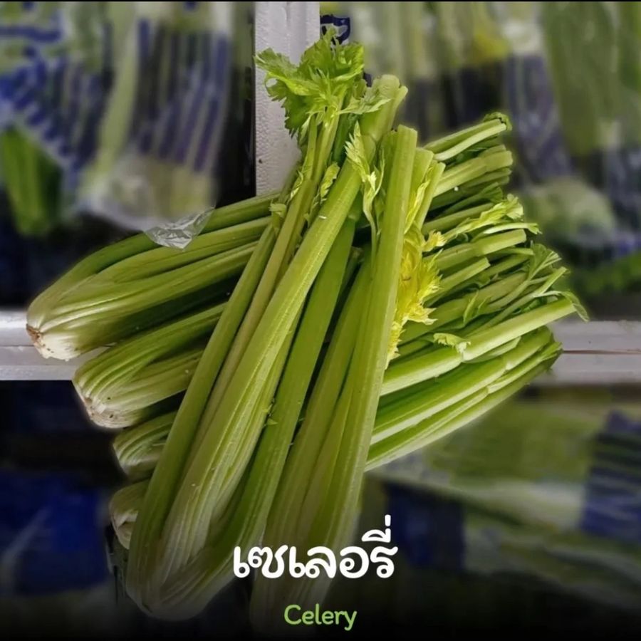 Celery
