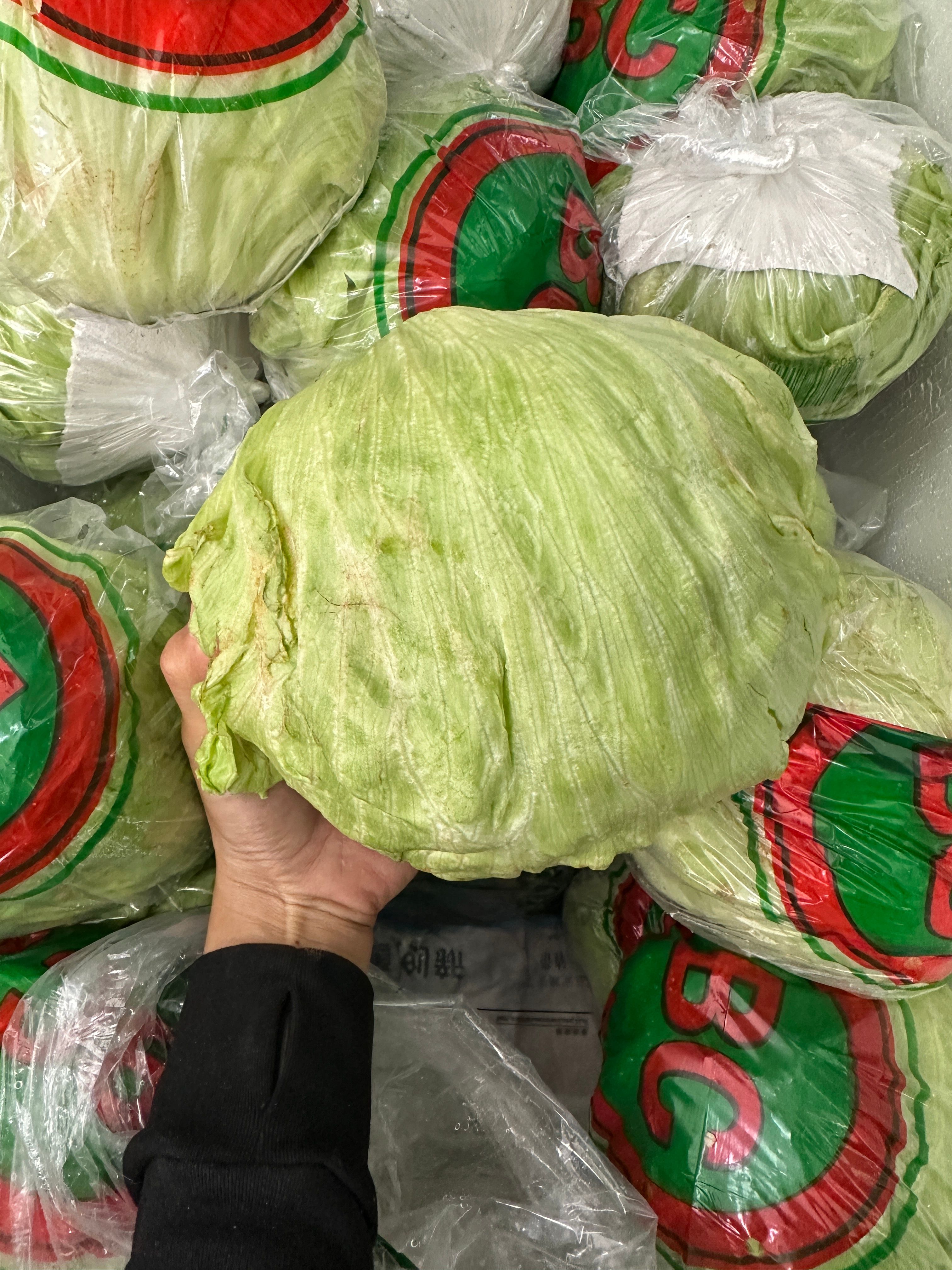 Iceberg Lettuce