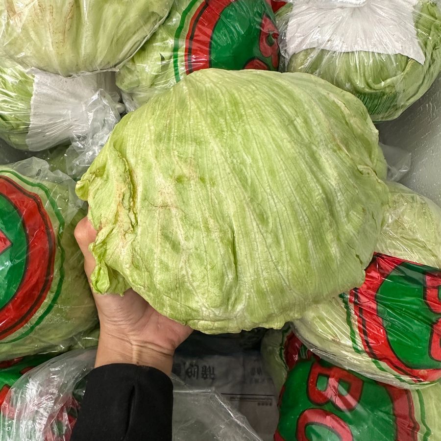 Iceberg Lettuce