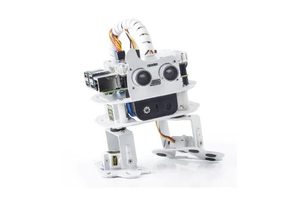 Raspberry Pi Robot Kit - PiSloth