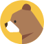 BrainyBear