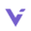 Validator AI Logo