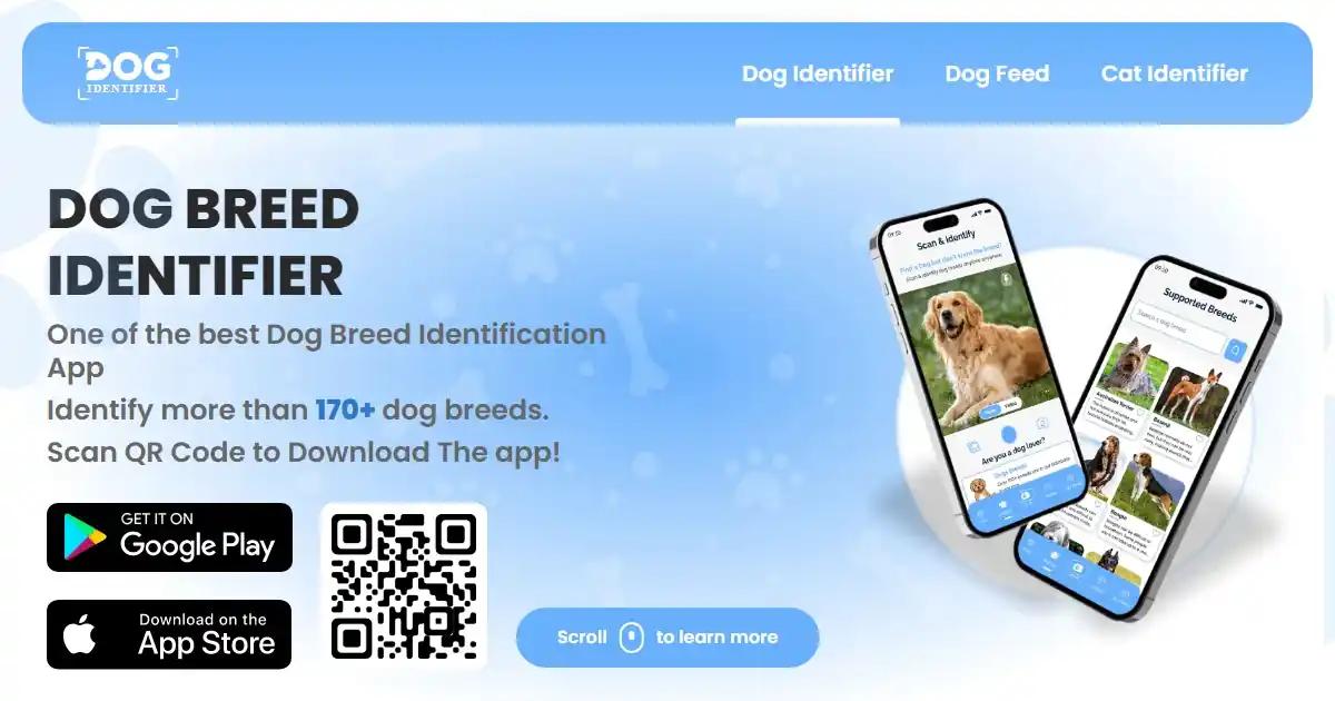 Dog Identifier