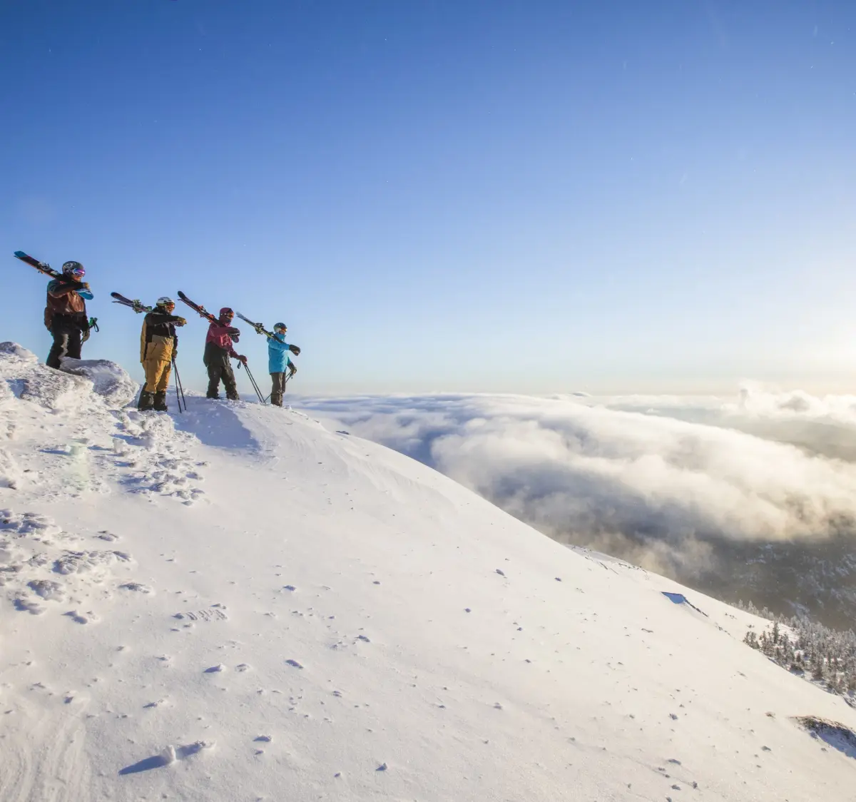Sugarloaf