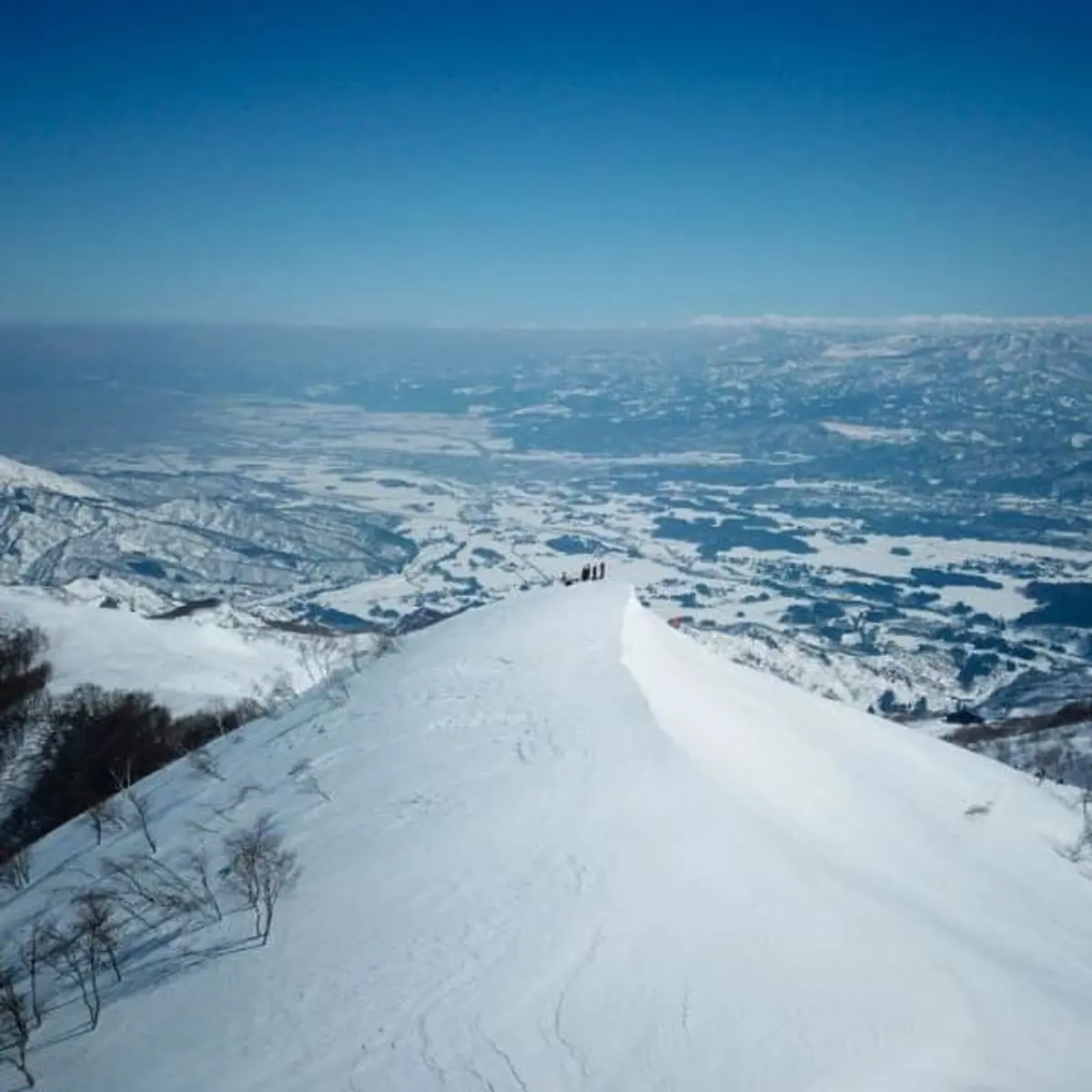 Arai Mountain Resort