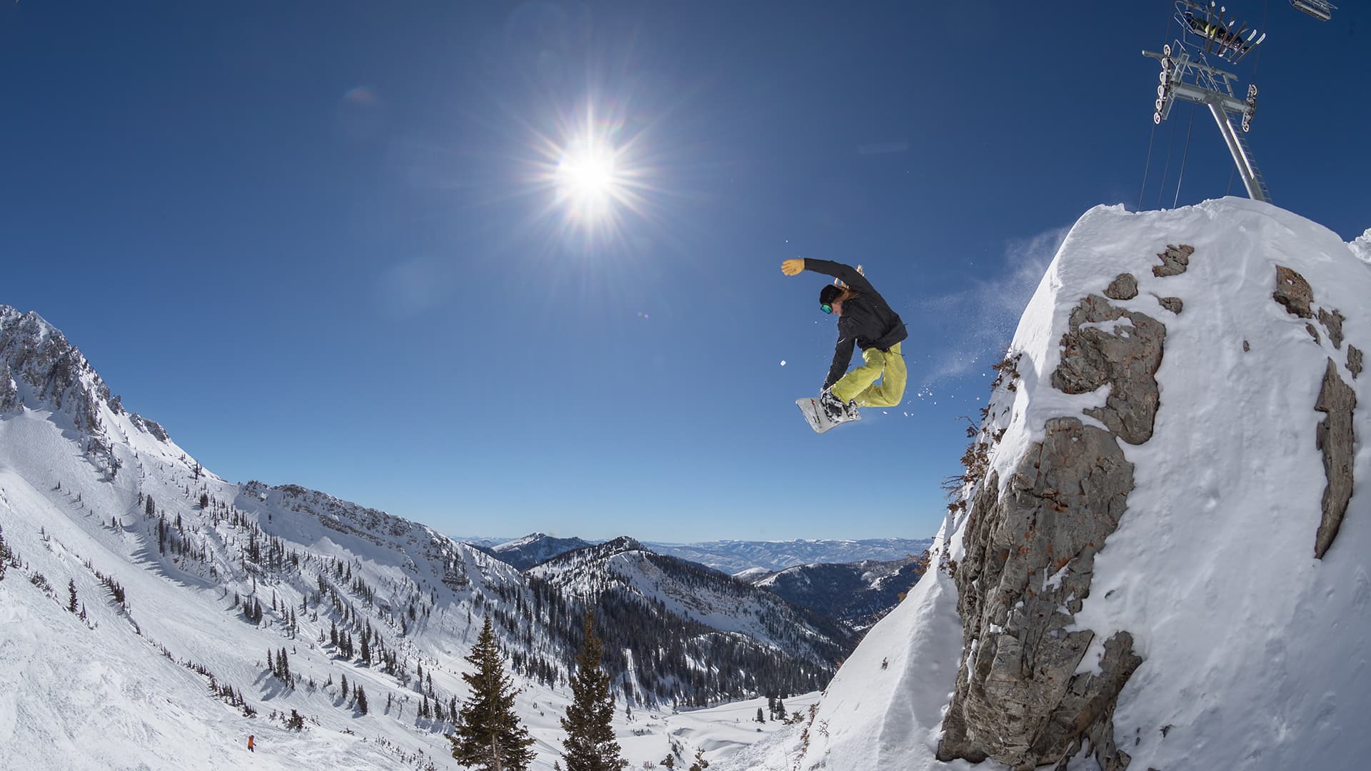 Snowbird