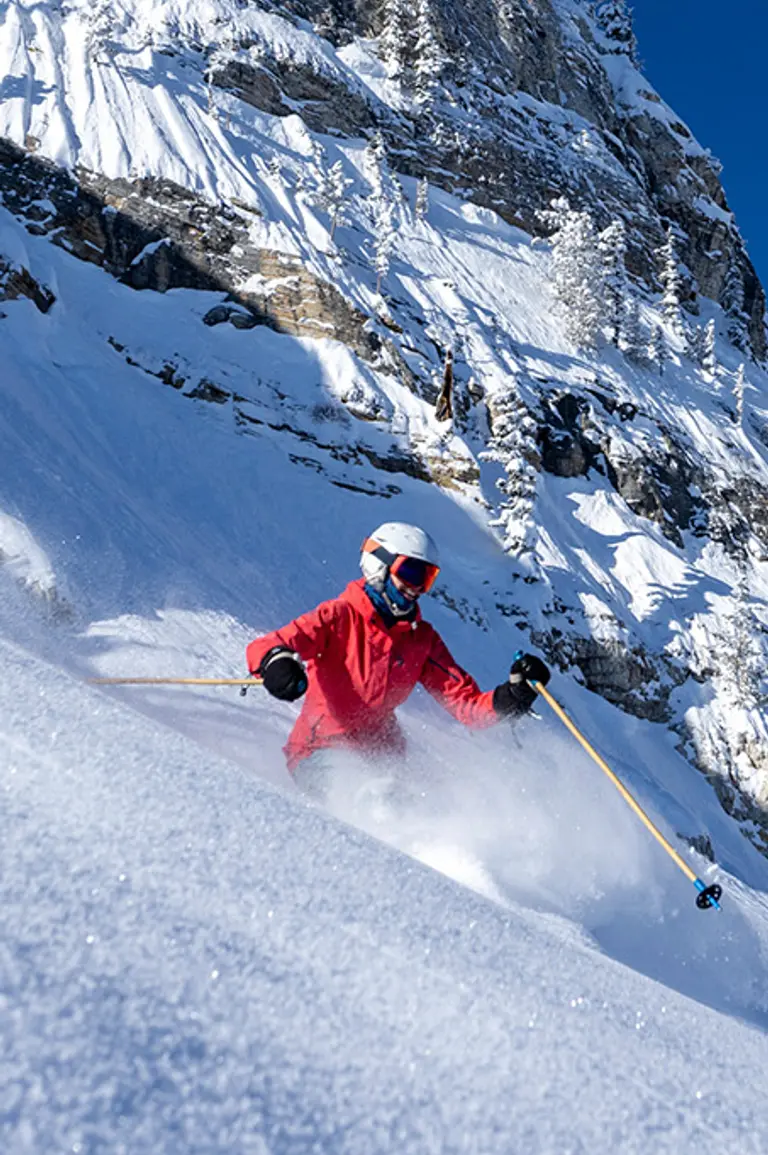 Skier enjoying powder in Honeycomb Canyon on a bluebird day