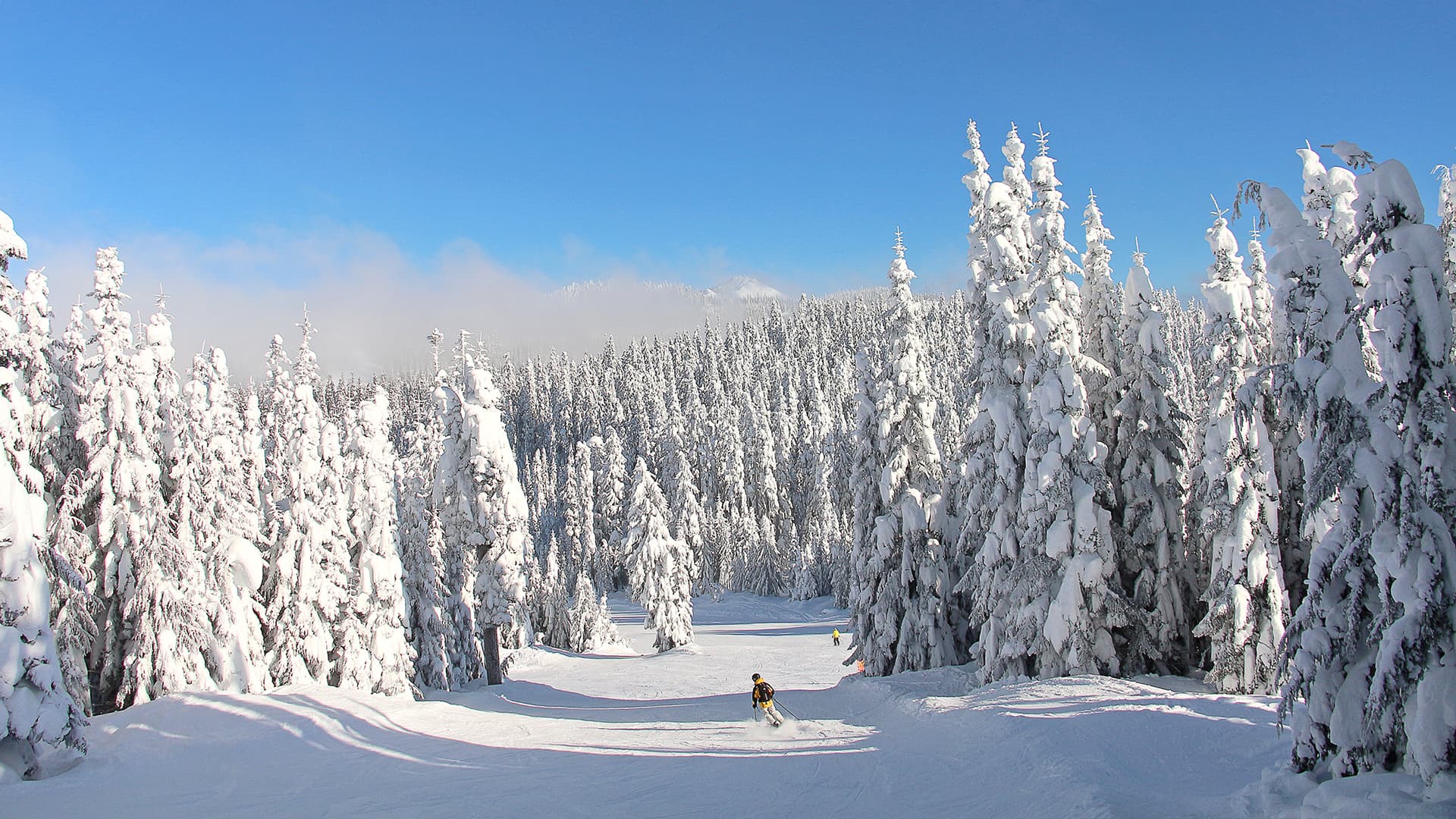 Skier surrounded by snow covered trees on a blue sky day.