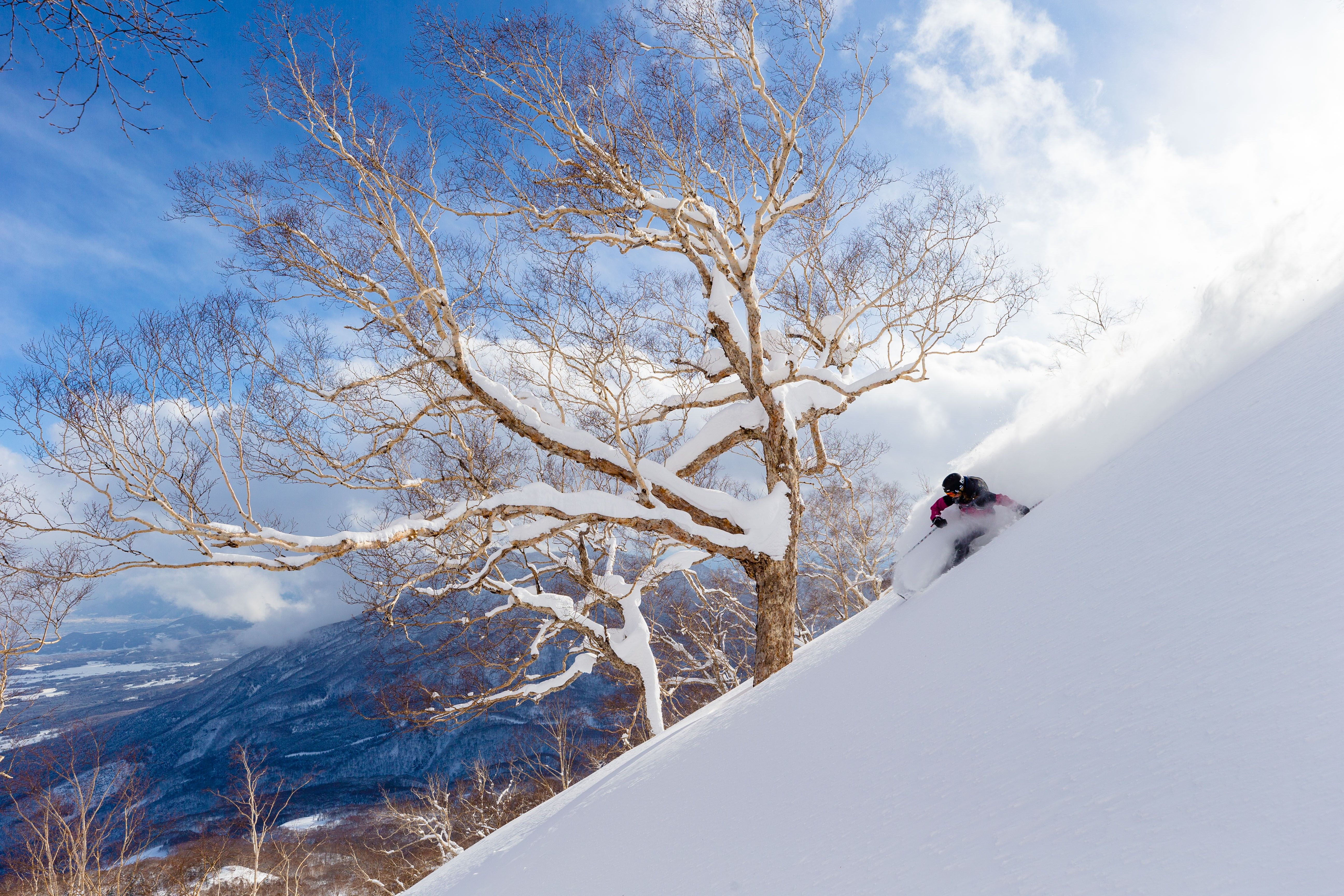 Myoko Suginohara Ski Resort
