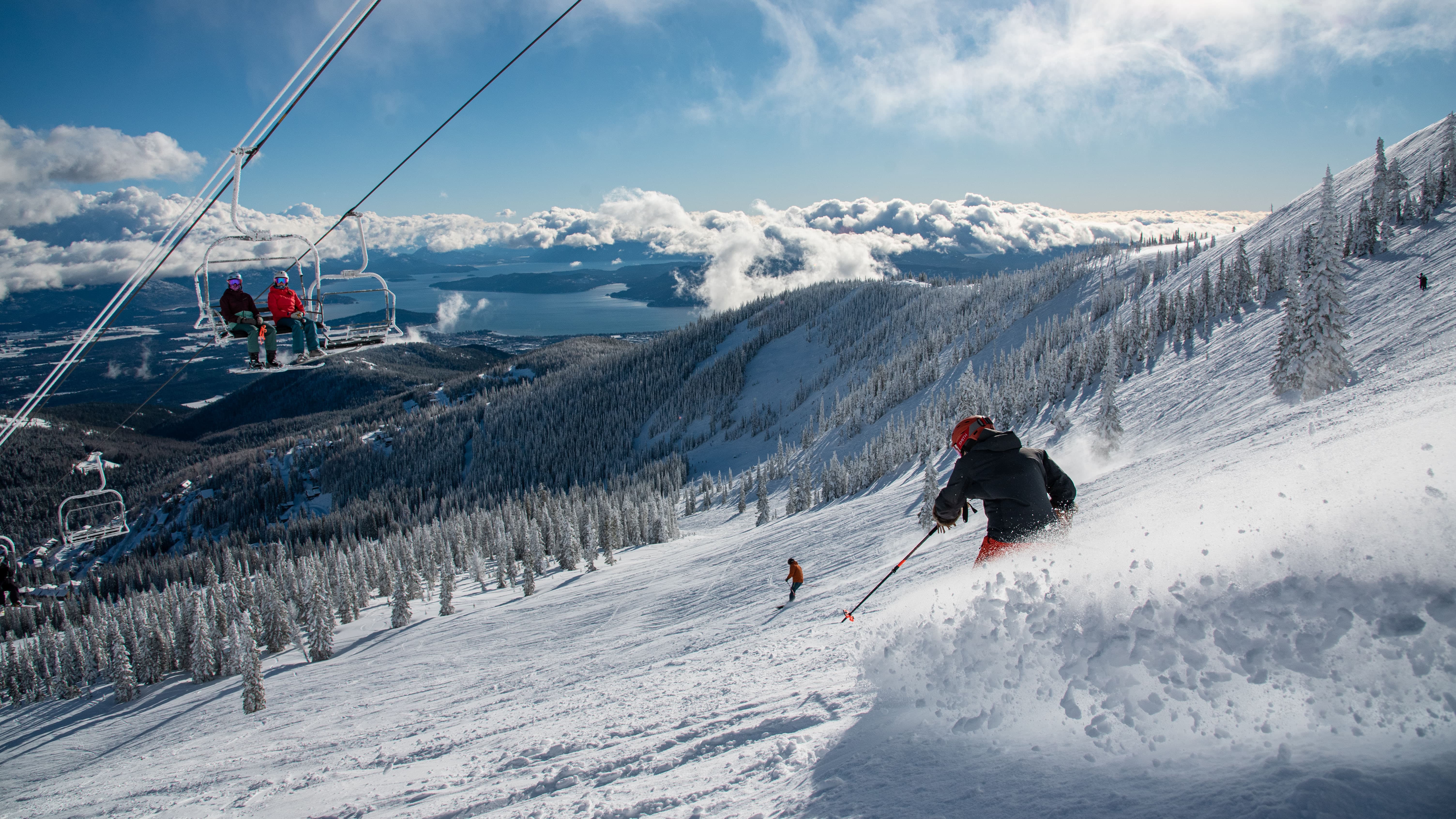 Schweitzer
