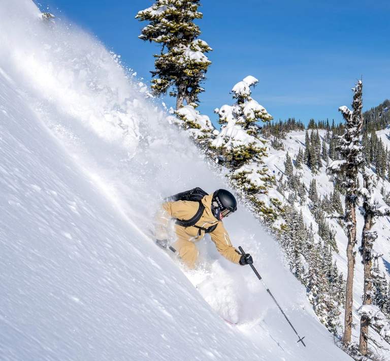 Skier going down a steep powder run on a bluebird day.