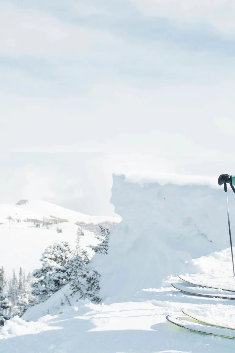 Two skiiers standing on the edge of a mountain