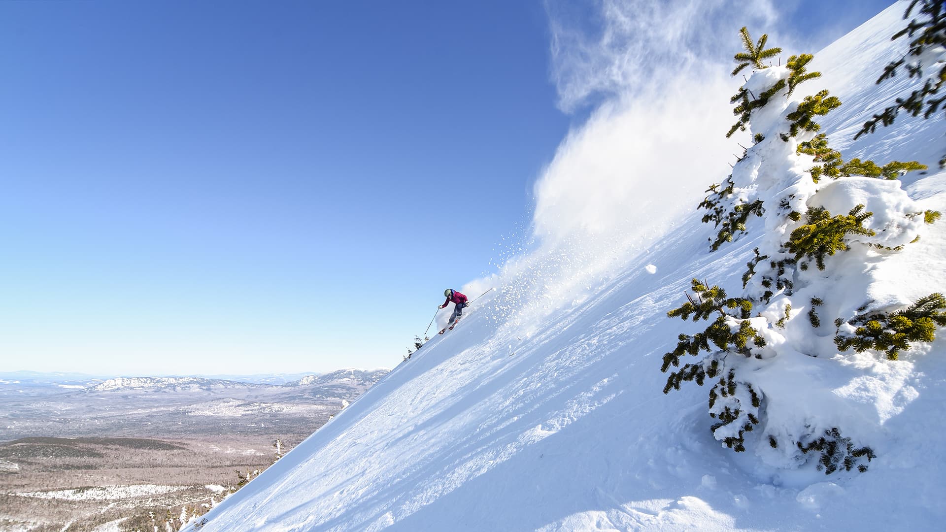 Sugarloaf