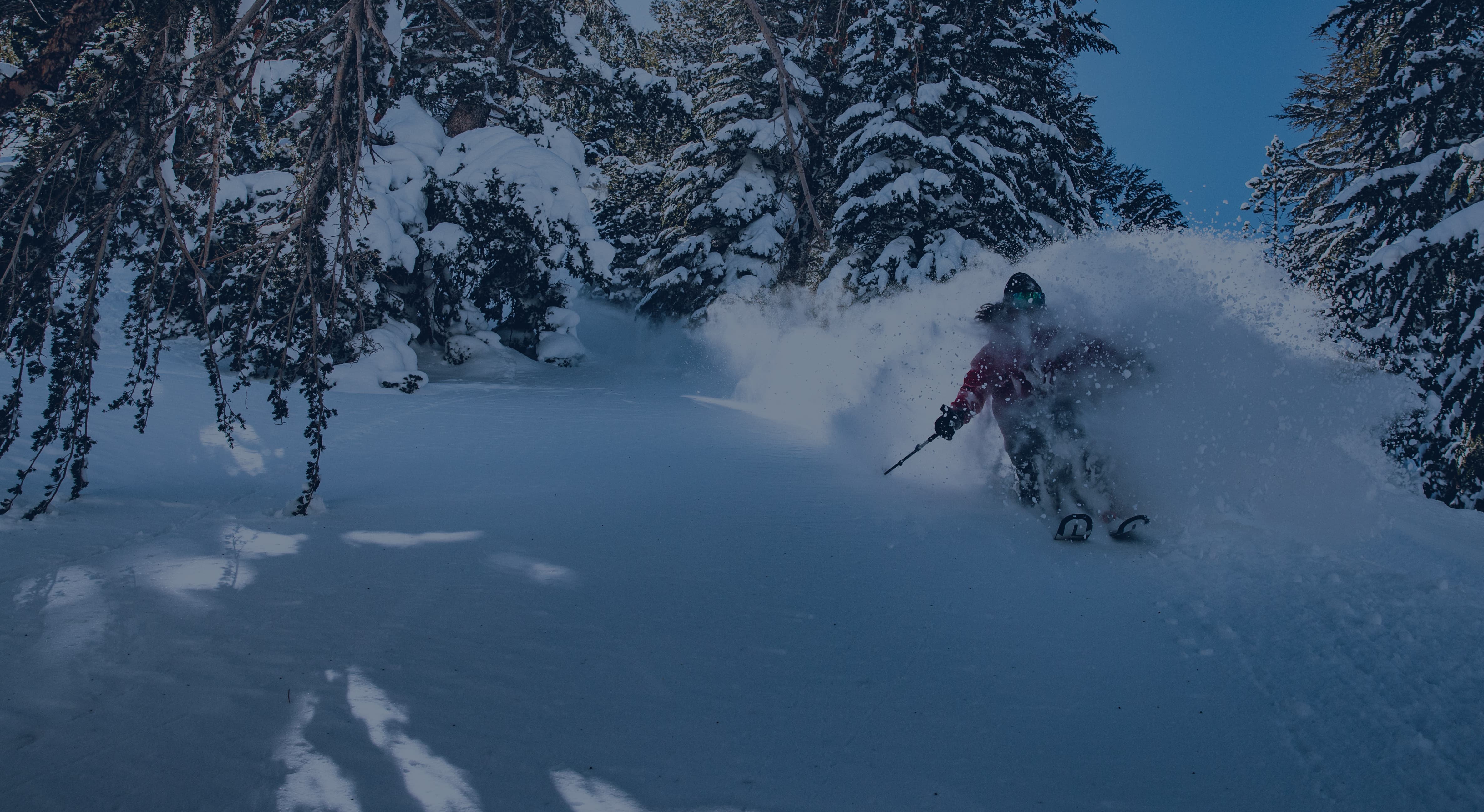 Below angle shot of skier coming down a trail in fresh snow.