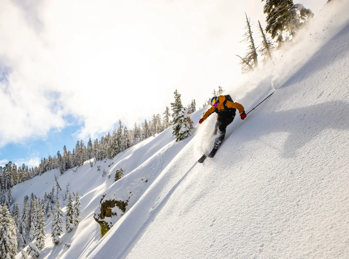 Multi-Resort Unlimited Ski/Snowboard Season Pass