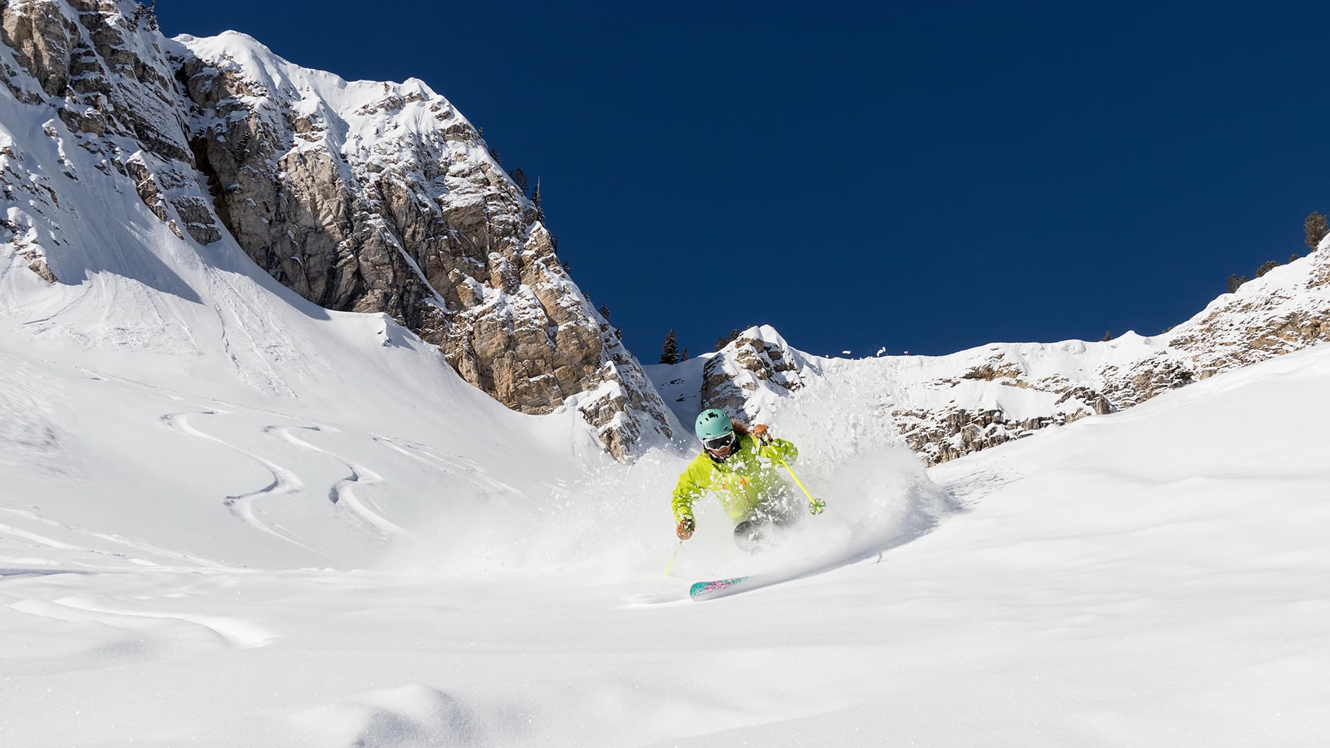 Skiers leaving a trail of powder in their wake.