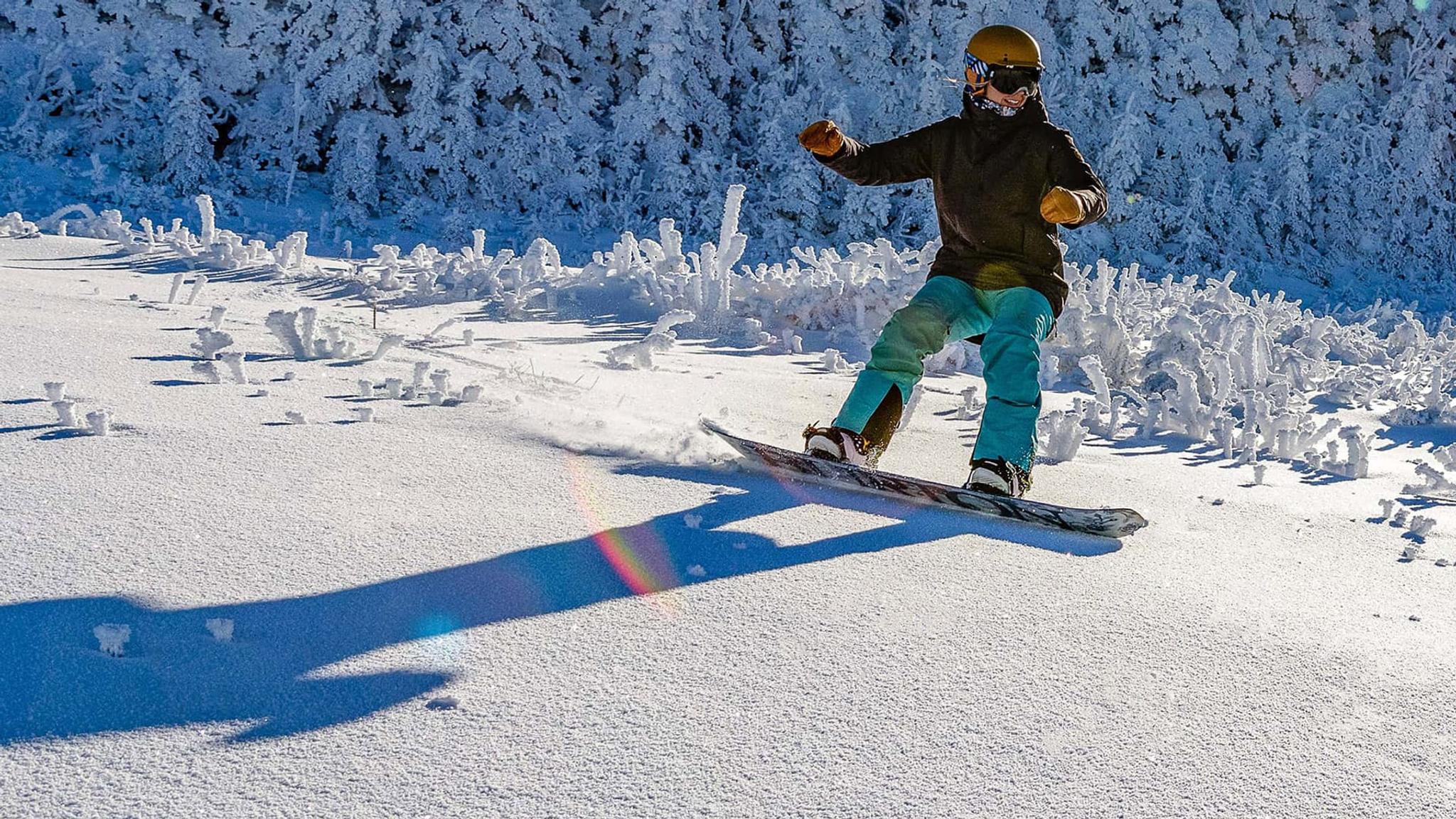 Snowboarder carving through fresh powder on a mountain trail.