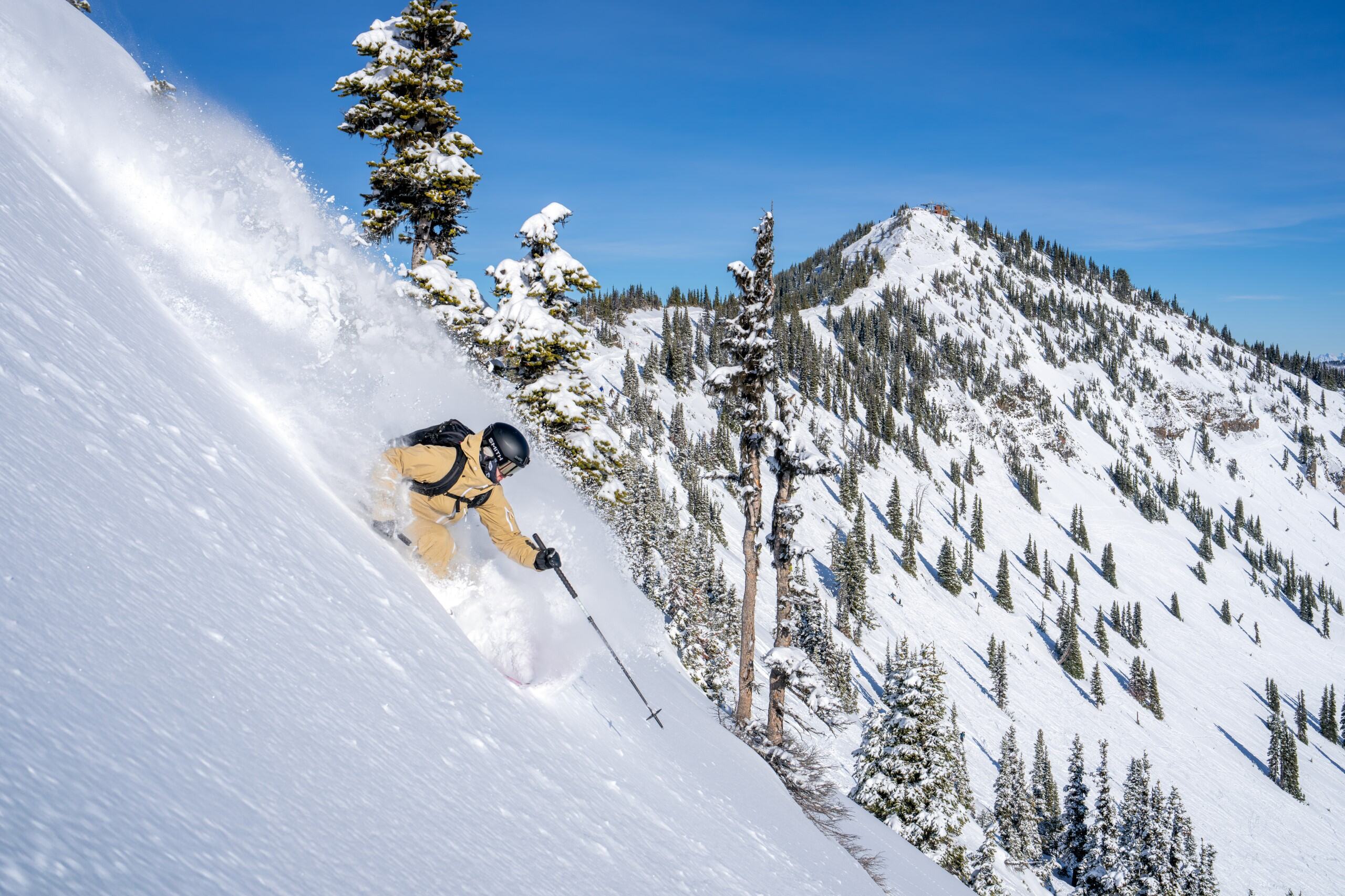 Skier going down a steep powder run on a bluebird day. 