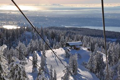 Aerial view of trees and a lake as seen from a mountain chairlift.