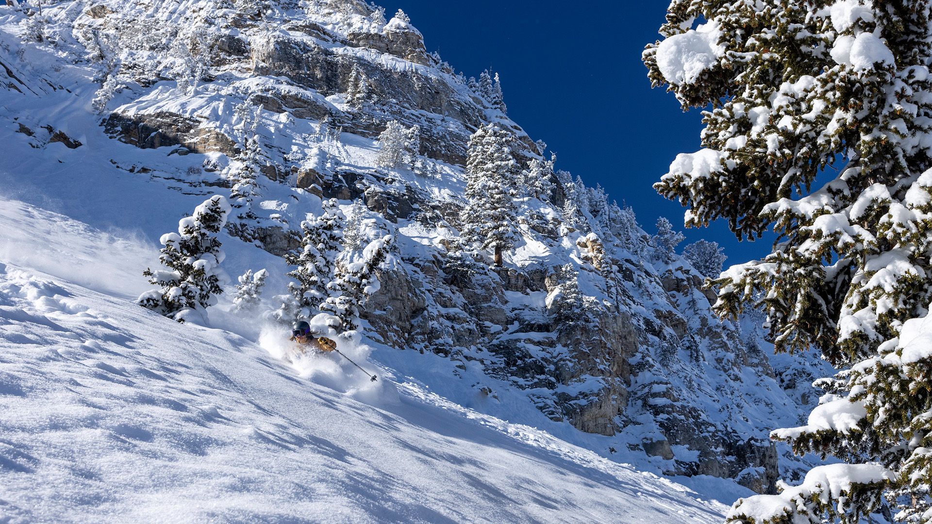 Solitude Midweek Pass Ikon Pass