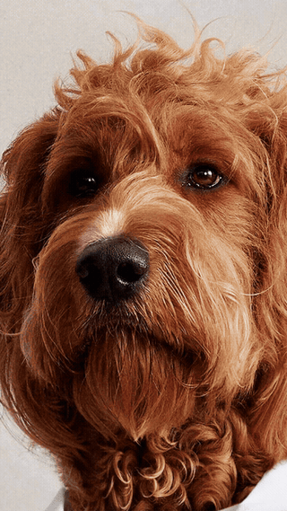 Leadr_Social_Shot 02_9x16 001.gif