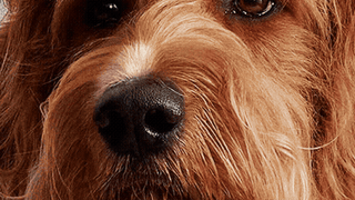 Leadr_Social_Shot 02_9x16 001.gif