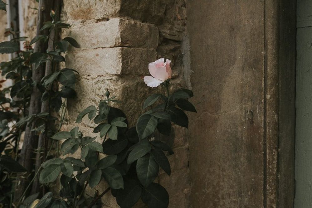 Hochzeit In Der Toskana - hochzeitsfotograf italien toskana arrezzo tuscany wedding planer free elopement hochzeit paar hochzeitsfotograf braut 00012
