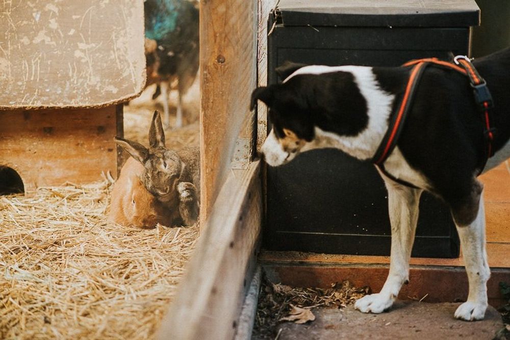 Landhochzeit Bei Riesa - hochzeit leipzig sachsen twosoulsonestory 48 von 86