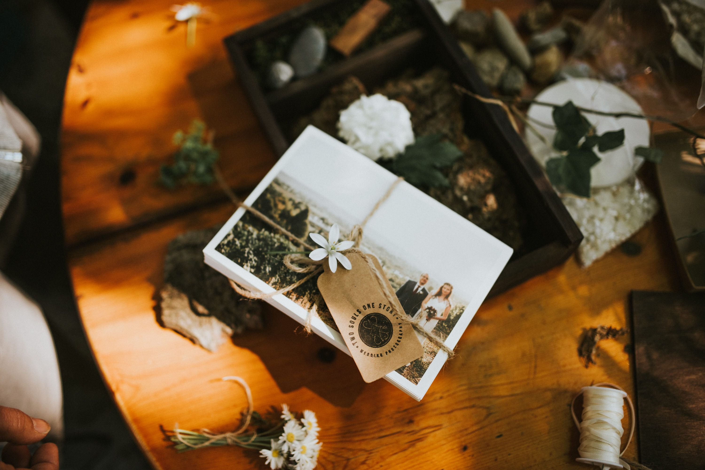 Freie Trauung Bad Liebenwerda: Die schönsten Orte & Ideen – Hochzeitsfotograf Tim Schneider