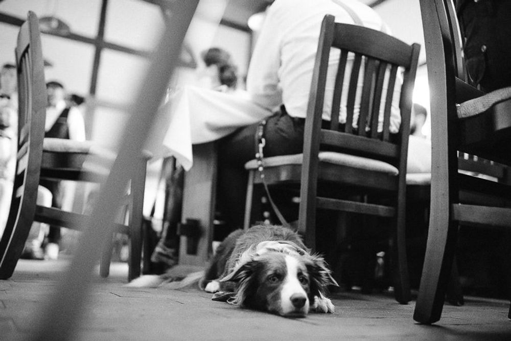 Vintage Hochzeit Elisa & Stephan - boho vintage hochzeit dresden hochzeitsfotograf tim schneider 69 von 95