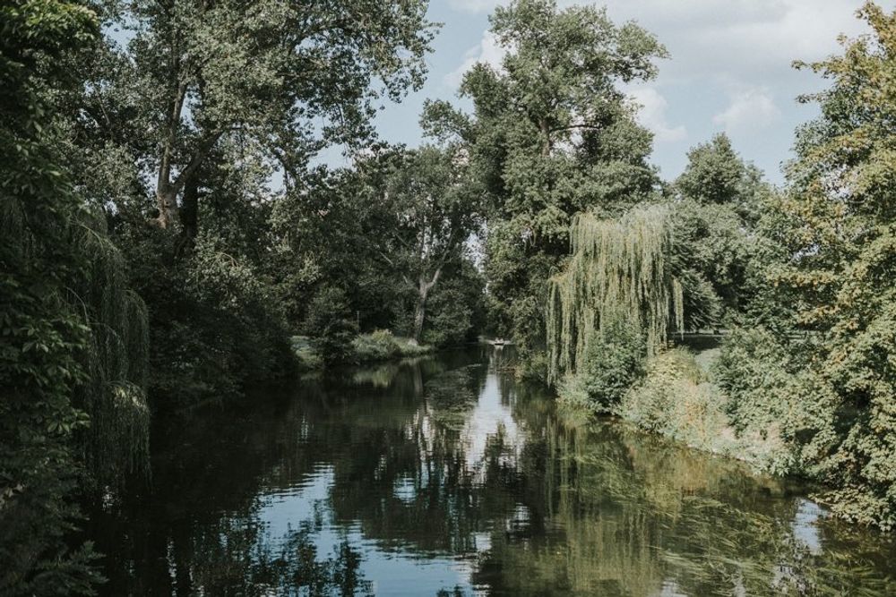 Cahty & Marvin - hochzeit braunschweig hochzeitsfotograf braunschweig 00079