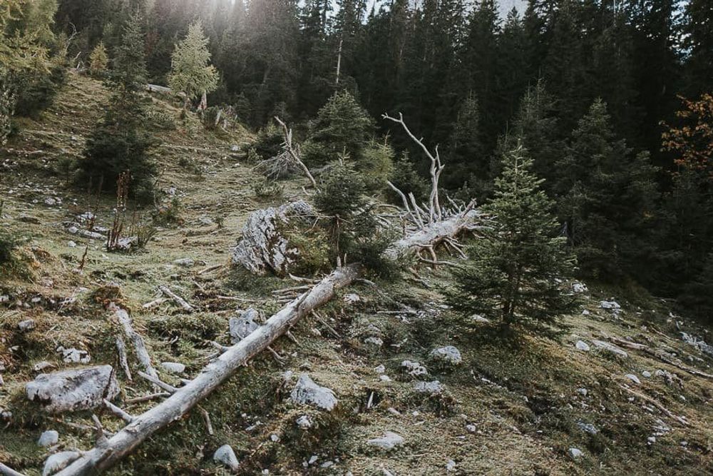After Wedding Shoot Ehrwald - hochzeit ehrwald after wedding östrreich hochzeitsfotograf ehrwald garmisch partenkirchen tim schneider 00017