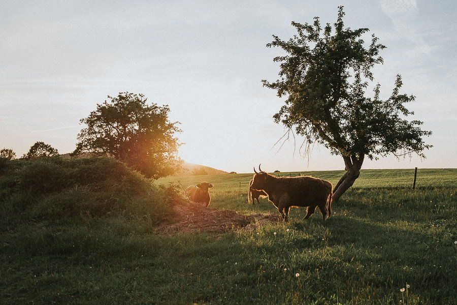 Boho Hochzeit Bautzen - hochzeitsfotograf bautzen hochzeitsfotograf tim schneider dresden leipzig sachsen vintage hochzeit oberlausitz 92