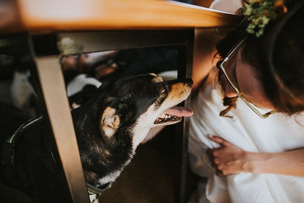 Landhochzeit Bei Riesa - hochzeit leipzig sachsen twosoulsonestory 39 von 86