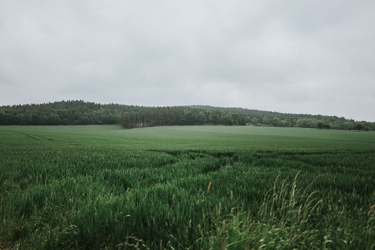Boho Hochzeit Bautzen - hochzeitsfotograf bautzen hochzeitsfotograf tim schneider dresden leipzig sachsen vintage hochzeit oberlausitz 02