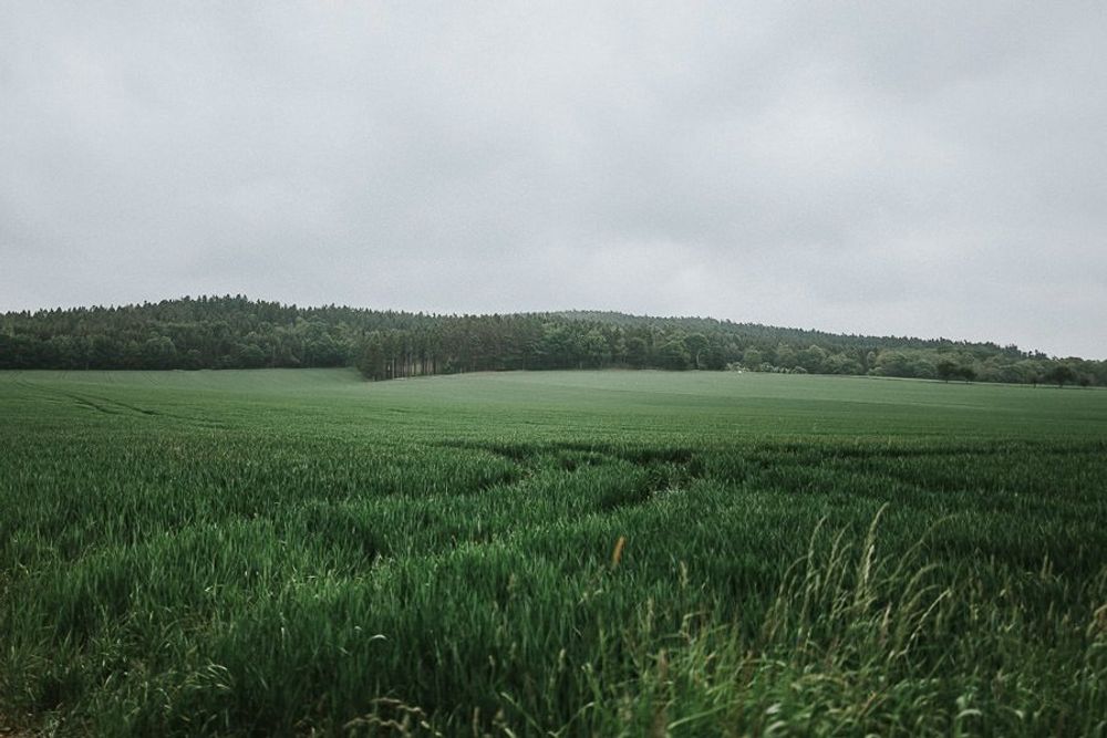 Boho Hochzeit Bautzen - hochzeitsfotograf bautzen hochzeitsfotograf tim schneider dresden leipzig sachsen vintage hochzeit oberlausitz 02