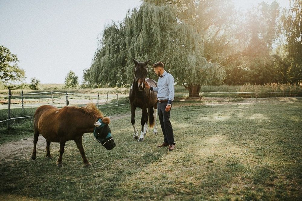 Landhochzeit Bei Riesa - hochzeit leipzig sachsen twosoulsonestory 66 von 86