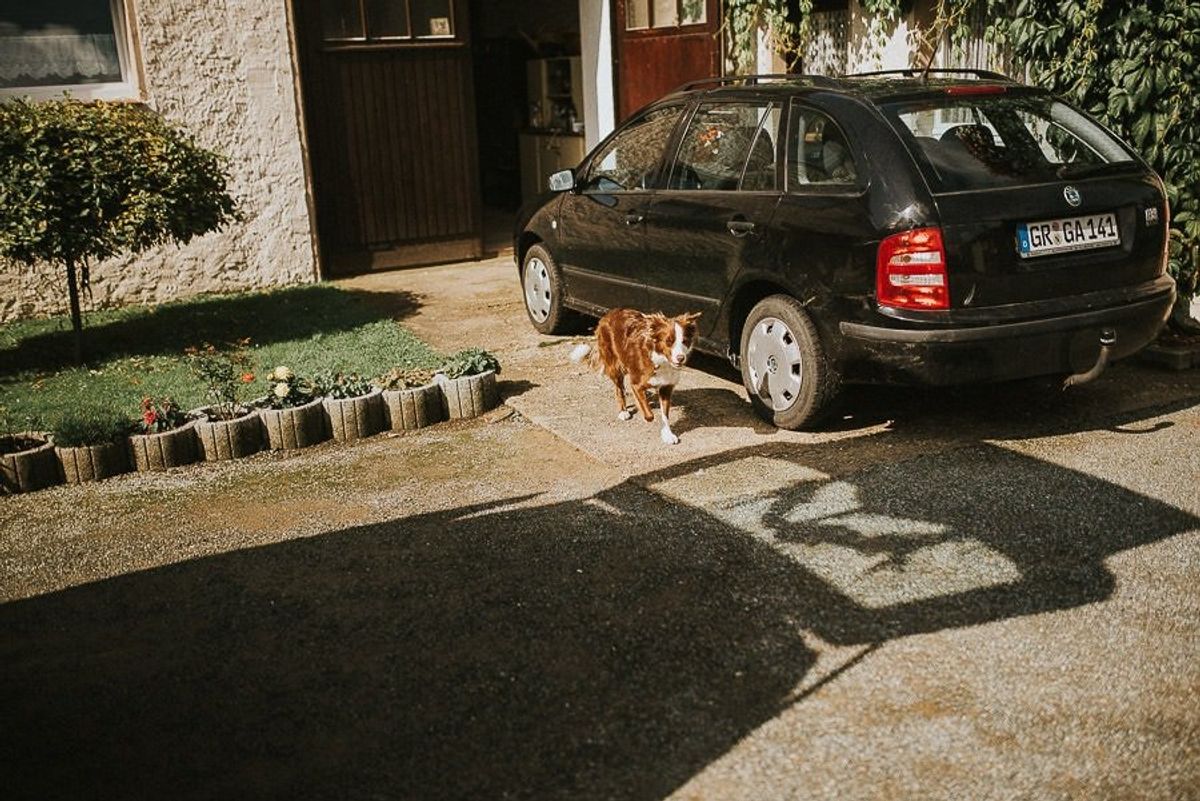 Vintage Hochzeit Elisa & Stephan - boho vintage hochzeit dresden hochzeitsfotograf tim schneider 4 von 95