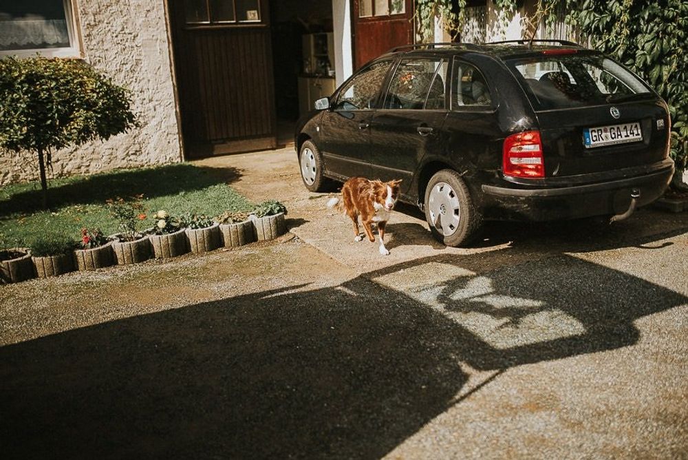 Vintage Hochzeit Elisa & Stephan - boho vintage hochzeit dresden hochzeitsfotograf tim schneider 4 von 95