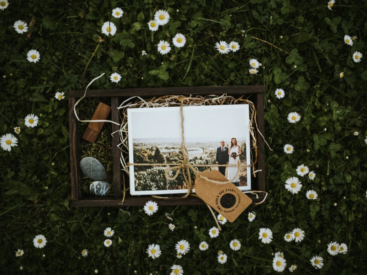 Standesamtliche Trauung in Dresden: Ablauf, Orte & Tipps – Hochzeitsfotograf Tim Schneider