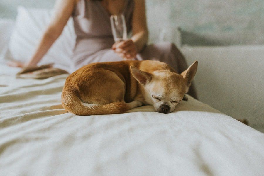 Hochzeit In Der Toskana - hochzeitsfotograf italien toskana arrezzo tuscany wedding planer free elopement hochzeit paar hochzeitsfotograf braut 00031