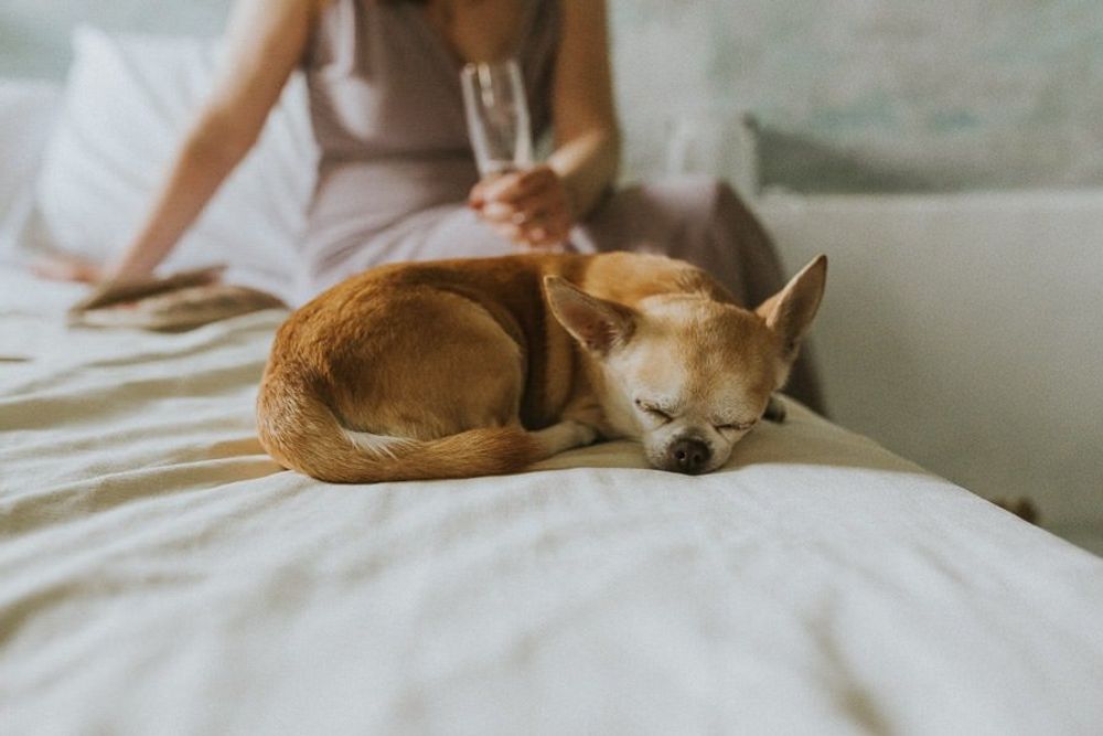 Hochzeit In Der Toskana - hochzeitsfotograf italien toskana arrezzo tuscany wedding planer free elopement hochzeit paar hochzeitsfotograf braut 00031